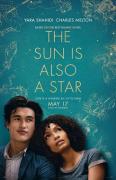 Story movie - 太阳也是星星