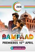 Story movie - BAMFAAD (2020) Hindi