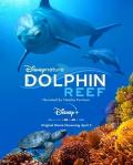 Documentary movie - 海豚礁 / Disneynature: Dolphin Reef