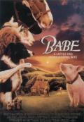 Documentary movie - Babe小猪宝贝