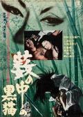 Story movie - 黑猫 / 草野中的黑猫 / Kuroneko / Yabu no naka no kuroneko / Black Cat from the Grove