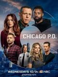 European American TV - 芝加哥警署 第八季 Chicago P.D. Season 8 / 芝加哥警局