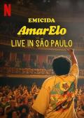 Documentary movie - 埃米西达：圣保罗演唱会现场 / Emicida: AmarElo - Ao Vivo