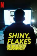 Documentary movie - 暗网青年毒枭 / Shiny_Flakes: The Teenage Drug Lord