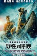 Story movie - 野性的呼唤2020 / 极地守护犬(港/台),绝境长征(港),荒野的呼唤