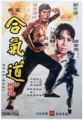 Action movie - 合气道 / Hap Ki Do,Lady Kung Fu,黑燕飞手