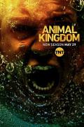 European American TV - 野兽家族第三季 / 动物王国