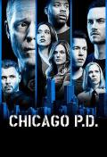 European American TV - 芝加哥警署第六季 / 芝加哥警局