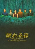 Japan and Korean TV - 沉睡的森林 / 沉睡森林,A Sleeping Forest