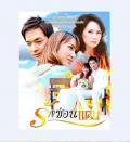 Singapore Malaysia Thailand TV - 掩饰的爱 / Ruk Sorn Kaen,Love Concealing Revenge