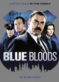 European American TV - 警察世家第二季 / 警脉相承 第二季,蓝血 第二季