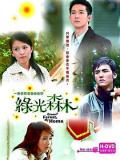HongKong and Taiwan TV - 绿光森林 / Green Forest, My Home