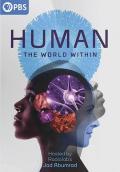 人类：体内的世界 / 人体大惊奇