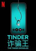 Tinder诈骗王 / Tinder 大骗徒