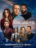 European American TV - 芝加哥警署第八季 / 芝加哥警局