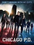 European American TV - 芝加哥警署第一季 / 芝加哥警局
