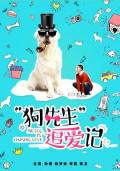 Story movie - 狗先生追爱记 / Mr. Dog Is Chasing Love