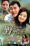 Chinese TV - 野鸭子 / 女儿之谜,女儿的战争,野鸭子第一部