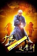 Action movie - 少林达摩剑 / shao lin damo sword