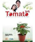 汉城奇缘 / 忽然情人,番茄,Tomato