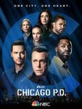 European American TV - 芝加哥警署第九季