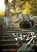 Story movie - 小小莲池 / A Little Pond