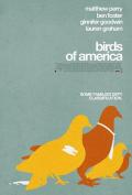 美国鸟类 / 美国的鸟