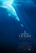 Story movie - 塑料海洋 / 塑胶海洋