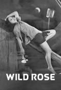 野玫瑰 / Wild Rose