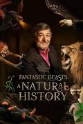 神奇动物：一段自然历史 / 神奇动物：自然历史