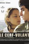 Story movie - 风筝2004 / Cerf-volant, Le