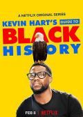 Comedy movie - 凯文·哈特：黑人历史指南