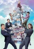 HongKong and Taiwan TV - 婚姻合伙人粤语 / 抱佣情人,My Commissioned Lover