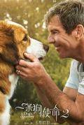 Story movie - 一条狗的使命2 / 再见亦是狗朋友2(港),狗狗的旅程(台),一条狗的旅程,为了与你相遇2,A Dog's Purpose 2