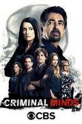 European American TV - 犯罪心理第十二季