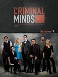 European American TV - 犯罪心理第七季