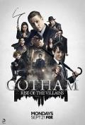哥谭第二季 / Gotham: Rise of the Villains