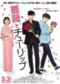 Love movie - 玫瑰与郁金香 / Rose and Tulip