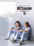 实习医生格蕾第八季 / 医人当自强 第八季,格蕾的解剖 第八季,外科实习生格蕾 第八季