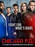 European American TV - 芝加哥警署第四季 / 芝加哥警局