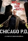 芝加哥警署第五季 / 芝加哥警局