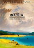 Story movie - 野梨树 / Le poirier sauvage,The Wild Pear Tree