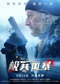 Action movie - 极寒风暴 / 最后一步,冷血遗产,The Last Step,Cold Blood