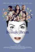 女性思维 / 女人大脑