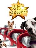 Story movie - 萌犬好声音（英文）