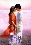 Story movie - 薰衣草2000 / Lavender,Fan yi cho