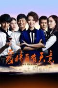 Chinese TV - 爱情自有天意 / 爱情心心相印(下部),Love Destiny