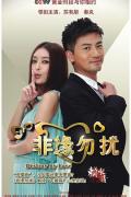 Chinese TV - 非缘勿扰 / Destiny by Love