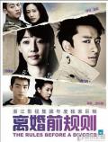 Chinese TV - 离婚前规则 / Rules Before A Divorce