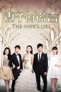 Chinese TV - 妻子的谎言 / The Wife's Lies